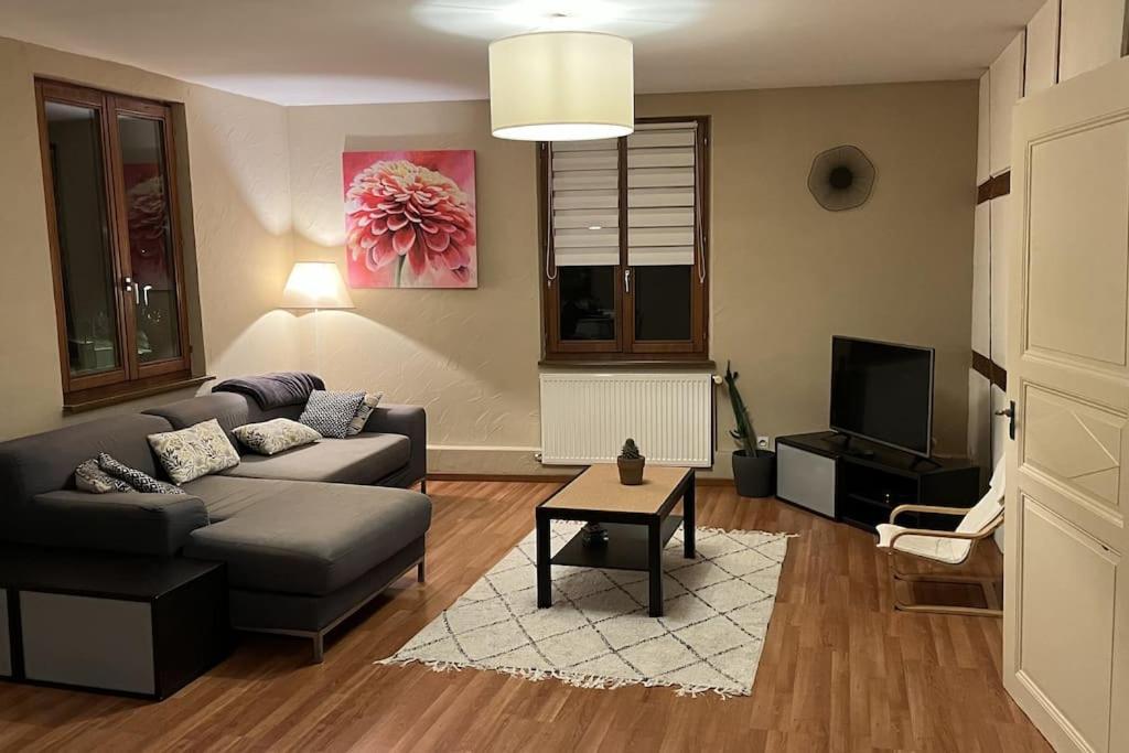 Grand Appartement A Barr Extérieur photo
